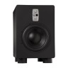 Студийные сабвуферы EVE AUDIO TS110 106569